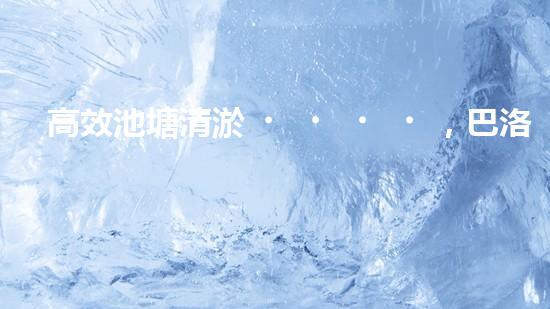 高效池塘清淤，巴洛仕設(shè)備助您一臂之力
